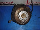 Ступица AUDI A4 ALT B7